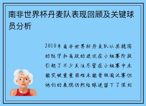 南非世界杯丹麦队表现回顾及关键球员分析